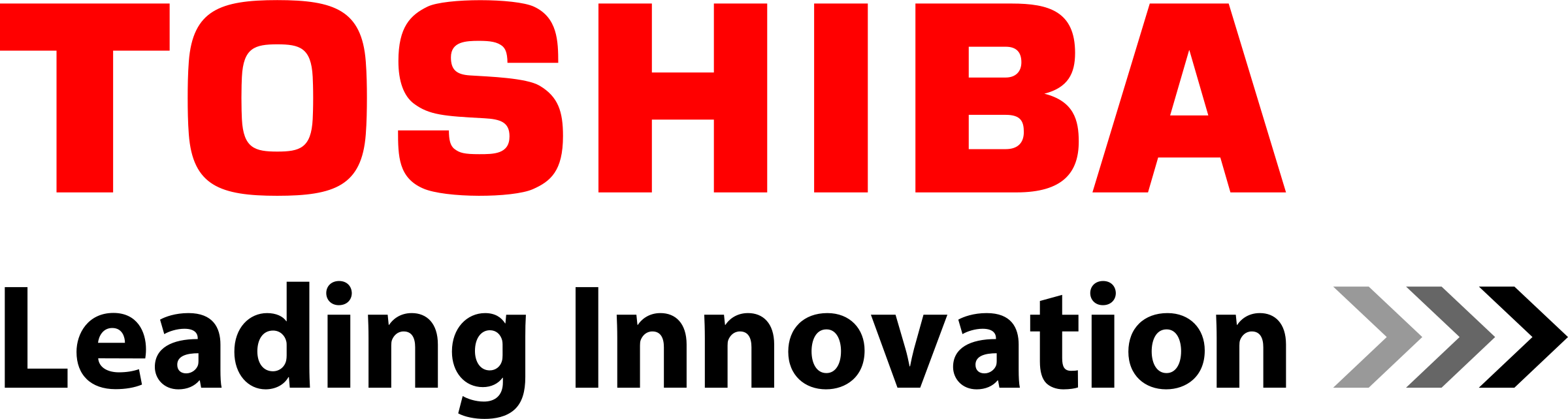 Partner Company Logo